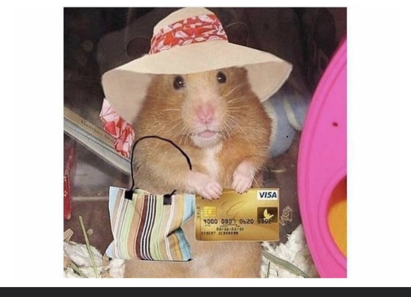 Hamster fancy Blank Meme Template