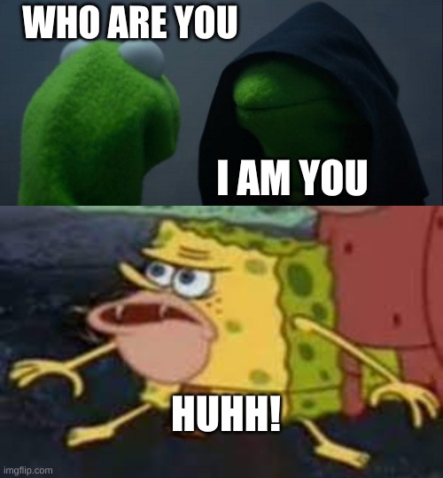 meme | WHO ARE YOU; I AM YOU; HUHH! | image tagged in evil kermit,spongebob | made w/ Imgflip meme maker