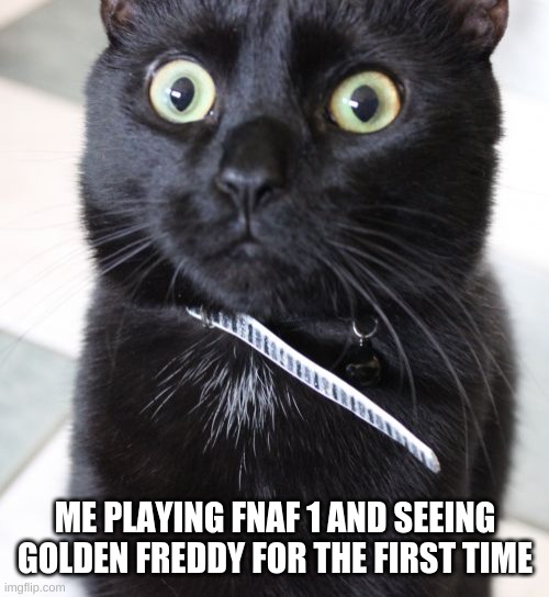 Woah Kitty | ME PLAYING FNAF 1 AND SEEING GOLDEN FREDDY FOR THE FIRST TIME | image tagged in memes,woah kitty,fnaf,fnaf hype everywhere | made w/ Imgflip meme maker