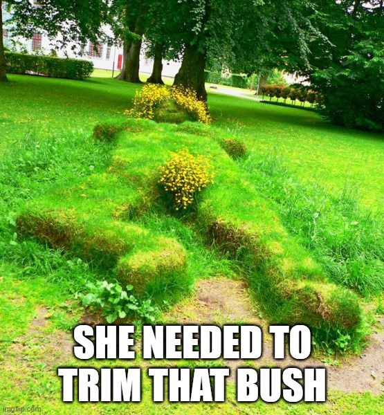 SHE NEEDED TO TRIM THAT BUSH | image tagged in bush | made w/ Imgflip meme maker