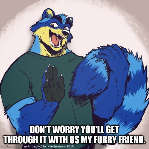 DON'T WORRY YOU'LL GET THROUGH IT WITH US MY FURRY FRIEND. | made w/ Imgflip meme maker