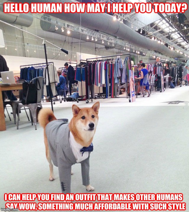 image tagged in dogs | made w/ Imgflip meme maker
