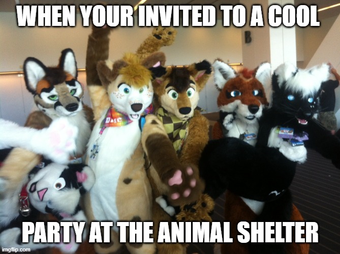 Furries | WHEN YOUR INVITED TO A COOL; PARTY AT THE ANIMAL SHELTER | image tagged in furries | made w/ Imgflip meme maker