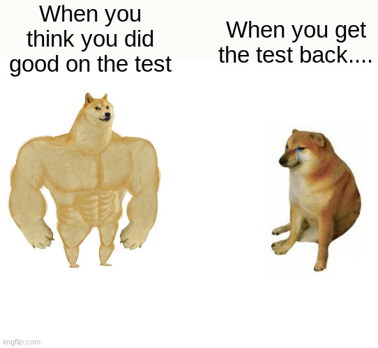School | When you think you did good on the test; When you get the test back.... | image tagged in memes,buff doge vs cheems | made w/ Imgflip meme maker
