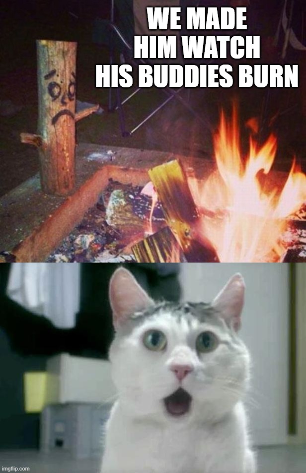 Burn them all | WE MADE HIM WATCH HIS BUDDIES BURN | image tagged in memes,omg cat,burning man | made w/ Imgflip meme maker
