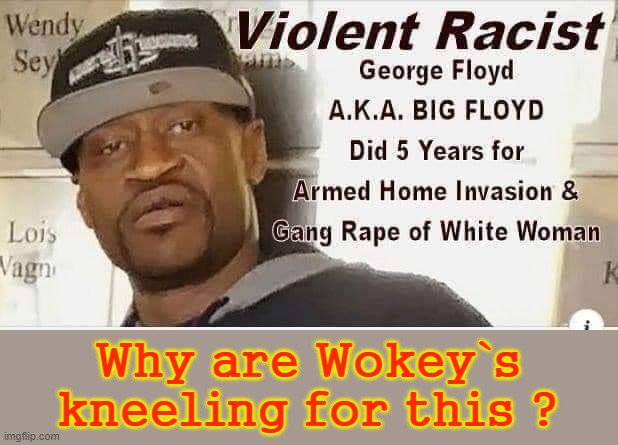 Why kneel 4 a Criminal ? | Why are Wokey`s
kneeling for this ? | image tagged in woke | made w/ Imgflip meme maker