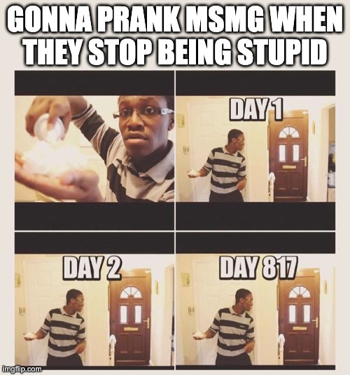 gonna prank x when he/she gets home | GONNA PRANK MSMG WHEN THEY STOP BEING STUPID | image tagged in gonna prank x when he/she gets home | made w/ Imgflip meme maker