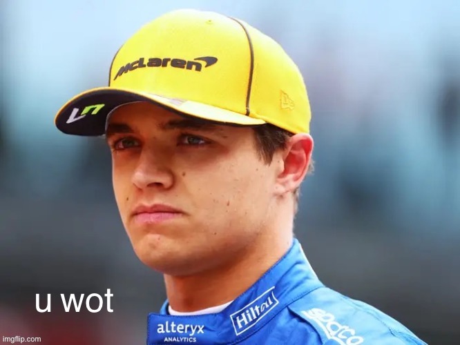 Lando Norris u wot | image tagged in lando norris u wot | made w/ Imgflip meme maker