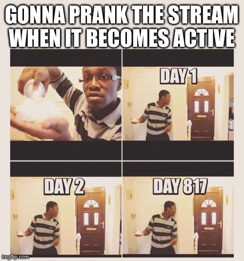 gonna prank x when he/she gets home | GONNA PRANK THE STREAM WHEN IT BECOMES ACTIVE | image tagged in gonna prank x when he/she gets home | made w/ Imgflip meme maker