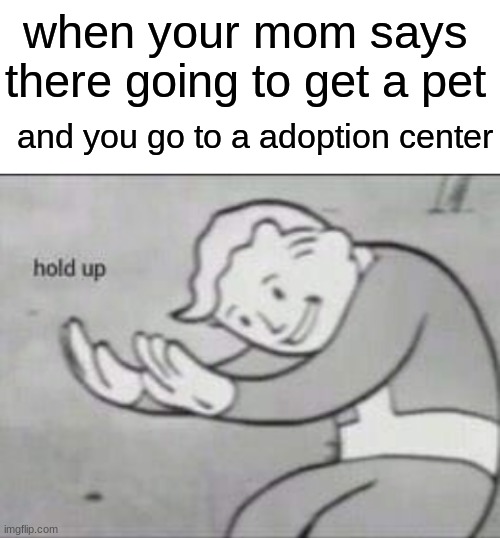 wait | when your mom says there going to get a pet; and you go to a adoption center | image tagged in fallout hold up with space on the top | made w/ Imgflip meme maker