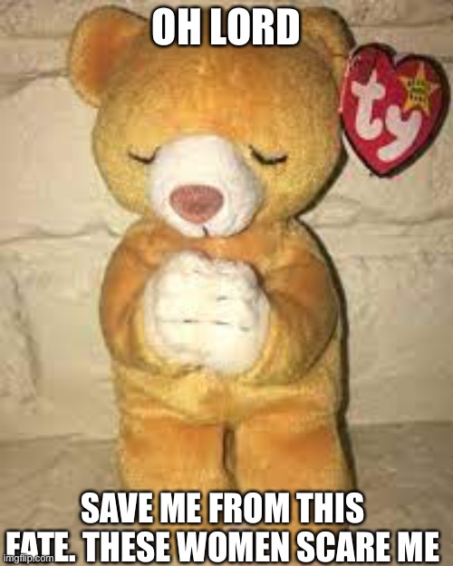 Crazy women | OH LORD; SAVE ME FROM THIS FATE. THESE WOMEN SCARE ME | image tagged in bear,beanie baby,beanie,thoughts and prayers,funny meme | made w/ Imgflip meme maker