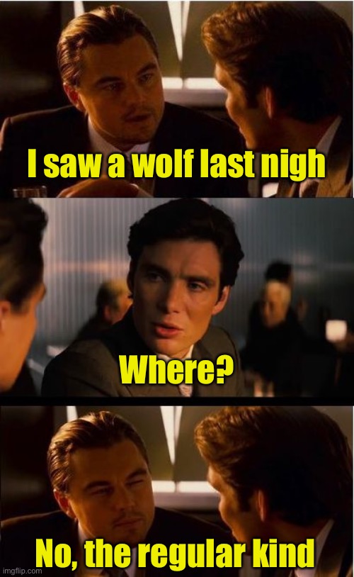 Must not have been a full moon | I saw a wolf last nigh; Where? No, the regular kind | image tagged in memes,inception | made w/ Imgflip meme maker