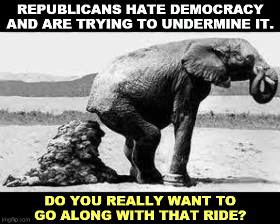 They bellow and scream about the Constitution, but they don't know what's in it and would repeal it if they could. | REPUBLICANS HATE DEMOCRACY AND ARE TRYING TO UNDERMINE IT. DO YOU REALLY WANT TO GO ALONG WITH THAT RIDE? | image tagged in elephant poopy,republicans,hate,constitution,democracy | made w/ Imgflip meme maker
