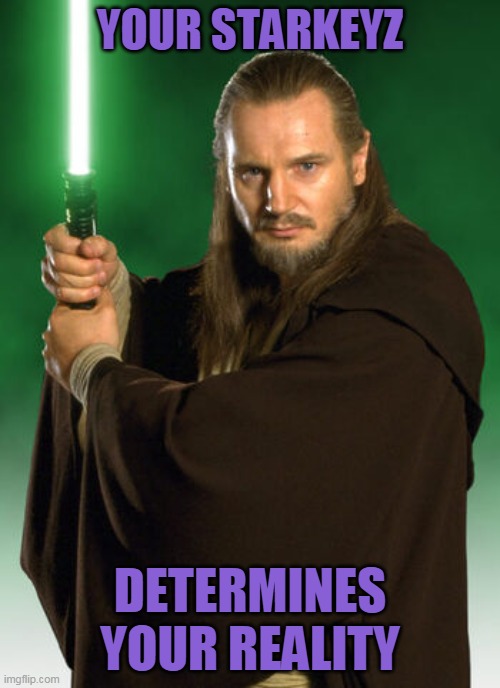 YOUR STARKEYZ; DETERMINES YOUR REALITY | made w/ Imgflip meme maker