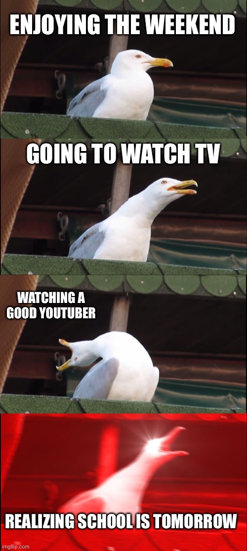 This is actually a joke. Don’t take it seriously |  ENJOYING THE WEEKEND; GOING TO WATCH TV; WATCHING A GOOD YOUTUBER; REALIZING SCHOOL IS TOMORROW | image tagged in memes,inhaling seagull | made w/ Imgflip meme maker