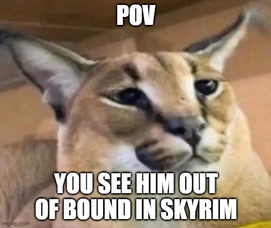 Floppa | POV; YOU SEE HIM OUT OF BOUND IN SKYRIM | image tagged in floppa | made w/ Imgflip meme maker