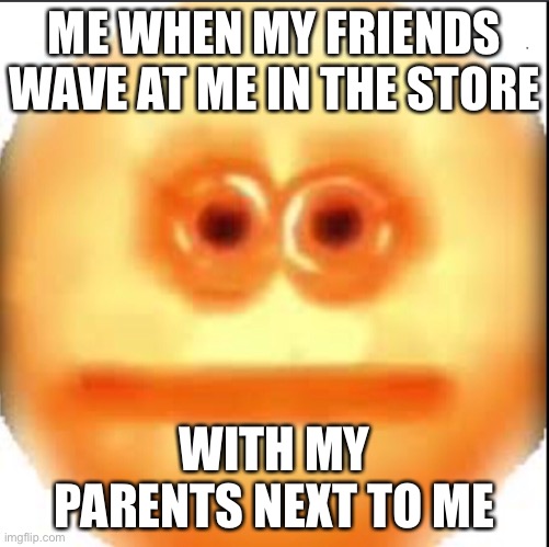 Honestly | ME WHEN MY FRIENDS WAVE AT ME IN THE STORE; WITH MY PARENTS NEXT TO ME | image tagged in funny | made w/ Imgflip meme maker