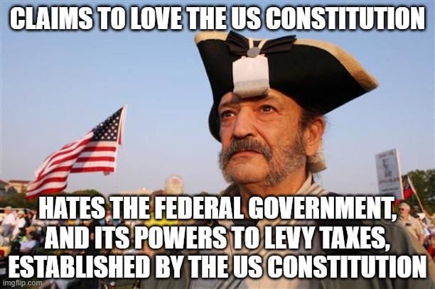 When You "Love The Constitution", But Not Enough To Even Read It | CLAIMS TO LOVE THE US CONSTITUTION; HATES THE FEDERAL GOVERNMENT, AND ITS POWERS TO LEVY TAXES, ESTABLISHED BY THE US CONSTITUTION | image tagged in tea party patriot larp,conservative logic,tea party,conservative hypocrisy,us government,civics class | made w/ Imgflip meme maker