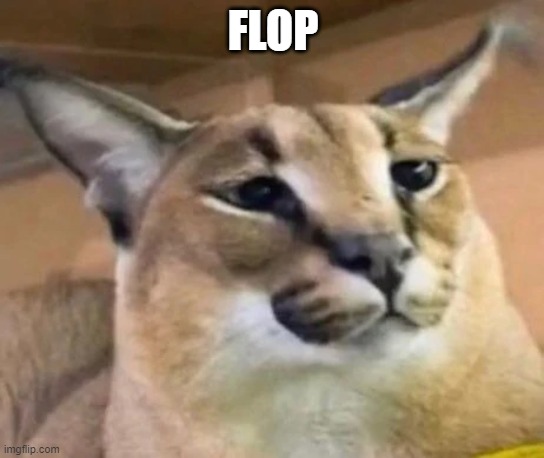 Floppa | FLOP | image tagged in floppa | made w/ Imgflip meme maker