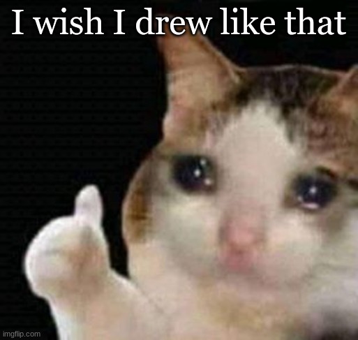 sad thumbs up cat | I wish I drew like that | image tagged in sad thumbs up cat | made w/ Imgflip meme maker