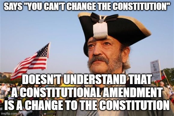 When Your Fear Of Change Prevents You From Understanding Anything About The Ever-Changing World You Live In | SAYS "YOU CAN'T CHANGE THE CONSTITUTION"; DOESN'T UNDERSTAND THAT A CONSTITUTIONAL AMENDMENT IS A CHANGE TO THE CONSTITUTION | image tagged in tea party patriot larp,the constitution,change,evolution,2nd amendment,conservative logic | made w/ Imgflip meme maker