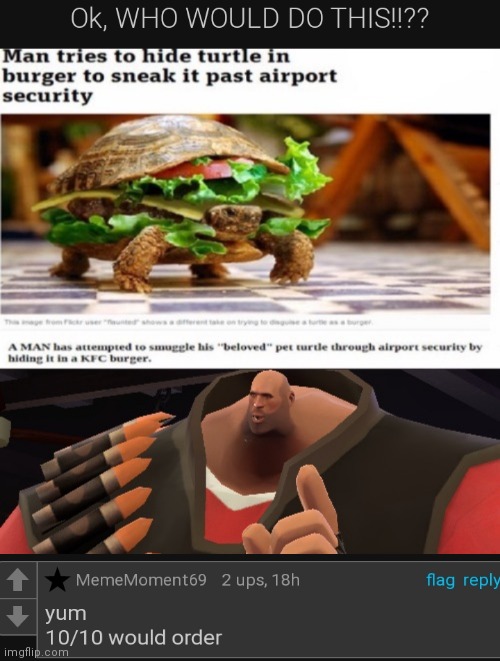 Yummy! Turtleburger! | image tagged in turtle,burger,cursed | made w/ Imgflip meme maker