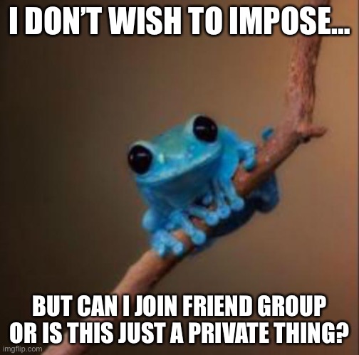 I need friends…can I be on this stream? I understand if its just a private thing to. | I DON’T WISH TO IMPOSE…; BUT CAN I JOIN FRIEND GROUP OR IS THIS JUST A PRIVATE THING? | image tagged in need,friends,frog | made w/ Imgflip meme maker