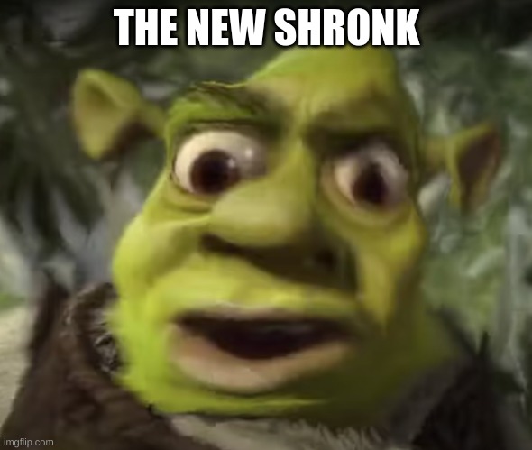 THE NEW SHRONK | THE NEW SHRONK | image tagged in youtube | made w/ Imgflip meme maker