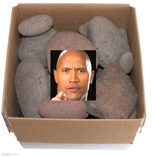 box of rocks | image tagged in box of rocks | made w/ Imgflip meme maker