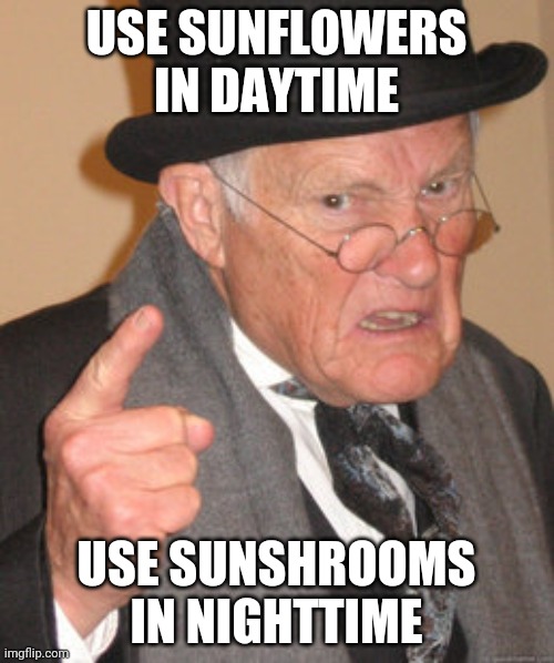Back In My Day Meme |  USE SUNFLOWERS IN DAYTIME; USE SUNSHROOMS IN NIGHTTIME | image tagged in memes,back in my day,plants vs zombies,pvz | made w/ Imgflip meme maker
