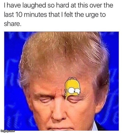 donald trump | image tagged in donald trump | made w/ Imgflip meme maker