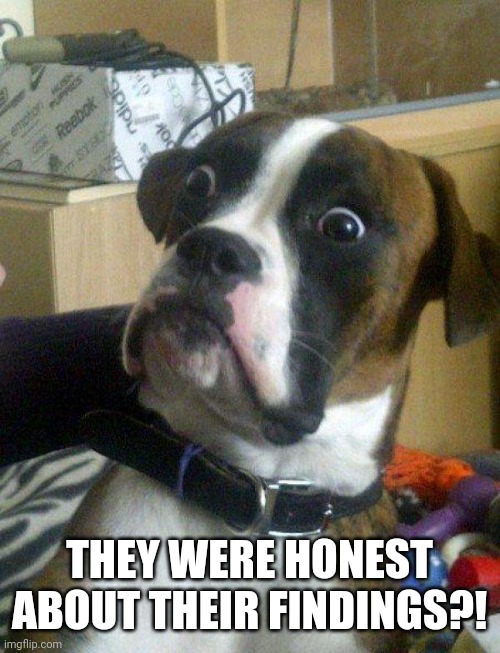 Blankie the Shocked Dog | THEY WERE HONEST ABOUT THEIR FINDINGS?! | image tagged in blankie the shocked dog | made w/ Imgflip meme maker