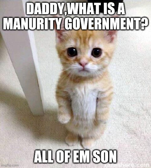Cute Cat Meme | DADDY,WHAT IS A MANURITY GOVERNMENT? ALL OF EM SON | image tagged in memes,cute cat | made w/ Imgflip meme maker