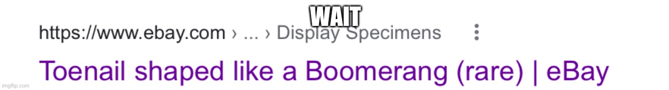 Toenail boomerang | WAIT | image tagged in funny,ebay | made w/ Imgflip meme maker