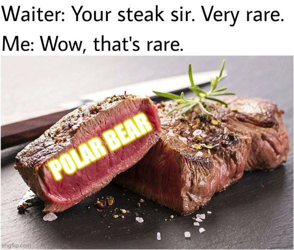 Tasty bear meat! | POLAR BEAR | image tagged in rare steak meme,bear,invasion,meat,eat em before they eat you | made w/ Imgflip meme maker