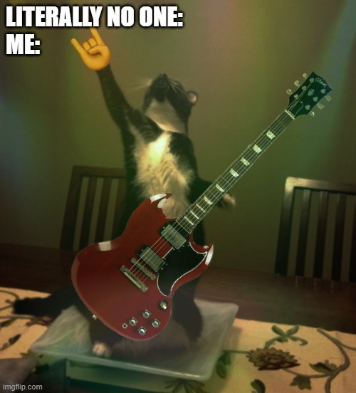 I'm a hard rocker and love cats | LITERALLY NO ONE:
ME: | image tagged in memes,funny memes,cat,funny cats,rock and roll,photoshop | made w/ Imgflip meme maker