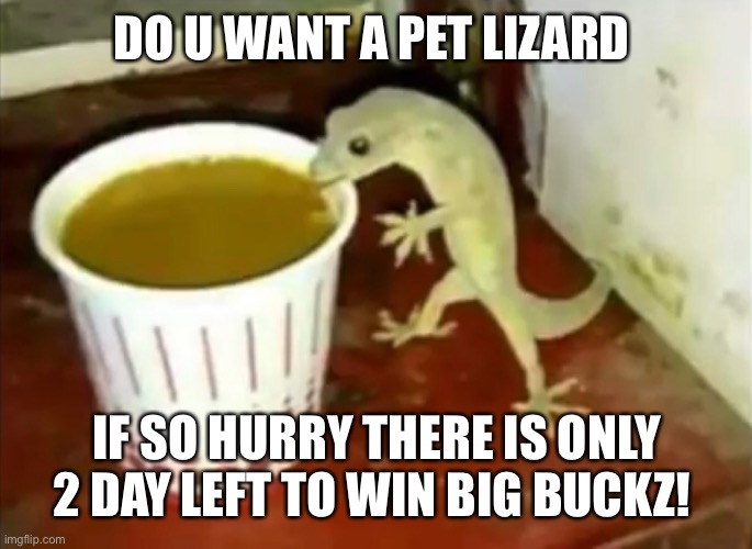 https://imgflip.com/m/WeeklyLotto | DO U WANT A PET LIZARD; IF SO HURRY THERE IS ONLY 2 DAY LEFT TO WIN BIG BUCKZ! | image tagged in richard | made w/ Imgflip meme maker