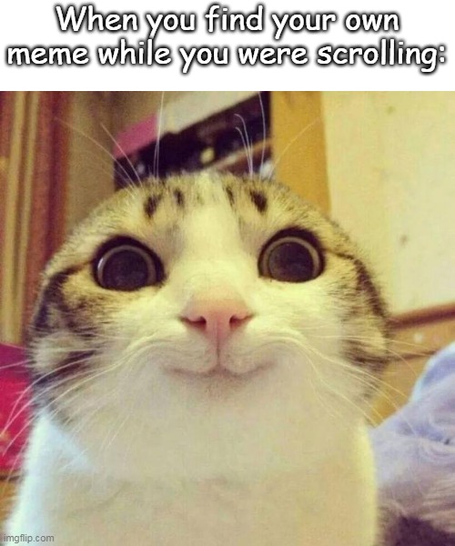 :) | When you find your own meme while you were scrolling: | image tagged in memes,smiling cat | made w/ Imgflip meme maker