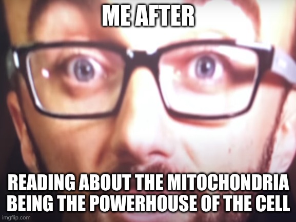 Big Brain Time | ME AFTER; READING ABOUT THE MITOCHONDRIA BEING THE POWERHOUSE OF THE CELL | image tagged in vsauce,mitochondrea | made w/ Imgflip meme maker