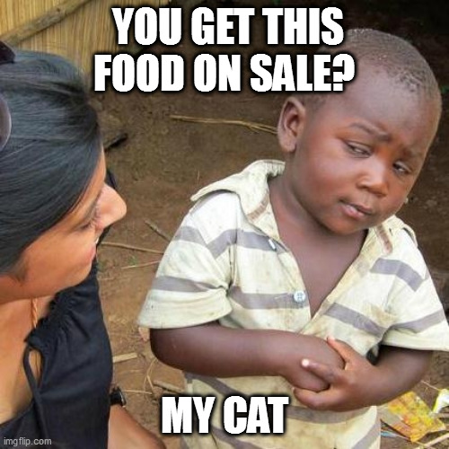 finecky | YOU GET THIS FOOD ON SALE? MY CAT | image tagged in memes,third world skeptical kid | made w/ Imgflip meme maker