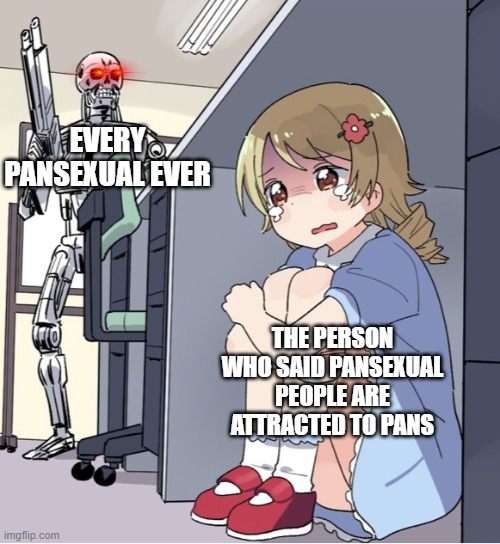 Legit truth | EVERY PANSEXUAL EVER; THE PERSON WHO SAID PANSEXUAL PEOPLE ARE ATTRACTED TO PANS | image tagged in anime girl hiding from terminator | made w/ Imgflip meme maker