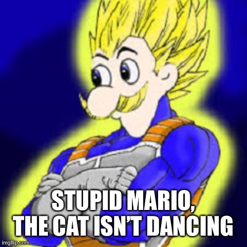 Super Saiyan Weegee | STUPID MARIO, THE CAT ISN’T DANCING | image tagged in super saiyan weegee | made w/ Imgflip meme maker