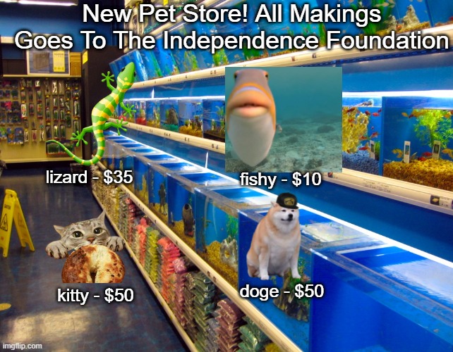 New Pet Store! All Makings Goes To The Independence Foundation; lizard - $35; fishy - $10; doge - $50; kitty - $50 | made w/ Imgflip meme maker