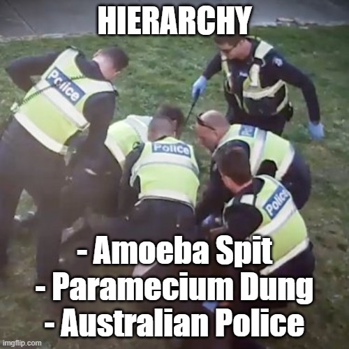 Aussie Police run amok! | HIERARCHY; - Amoeba Spit
- Paramecium Dung

- Australian Police | image tagged in hierarchy | made w/ Imgflip meme maker