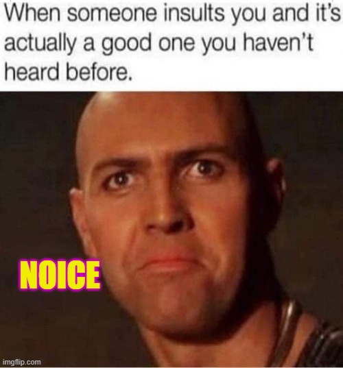 NOICE | image tagged in funny | made w/ Imgflip meme maker