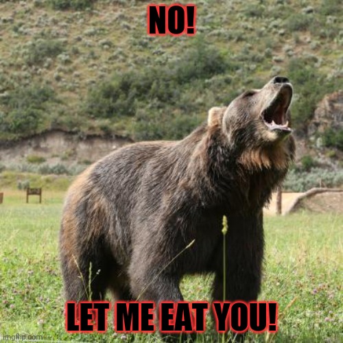 When you try to eat a bear... | NO! LET ME EAT YOU! | image tagged in bear,invasion,oh no,grizzly bear | made w/ Imgflip meme maker