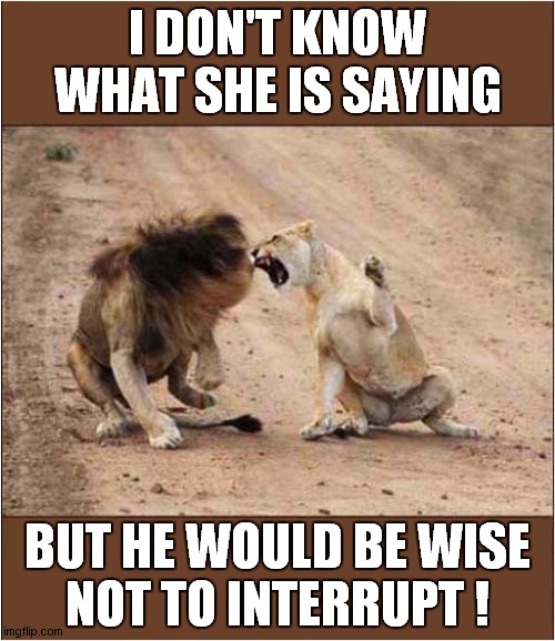 Lion Relationship Advice ! | I DON'T KNOW WHAT SHE IS SAYING; BUT HE WOULD BE WISE
NOT TO INTERRUPT ! | image tagged in lions,relationships,advice | made w/ Imgflip meme maker