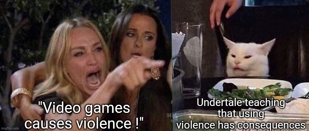 woman yelling at cat | Undertale teaching that using violence has consequences; "Video games causes violence !" | image tagged in woman yelling at cat,undertale | made w/ Imgflip meme maker