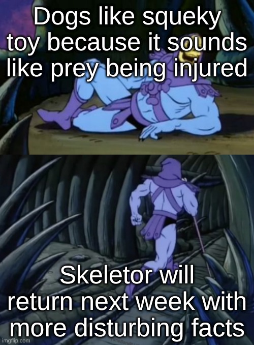 Disturbing Facts Skeletor | Dogs like squeky toy because it sounds like prey being injured; Skeletor will return next week with more disturbing facts | image tagged in disturbing facts skeletor | made w/ Imgflip meme maker