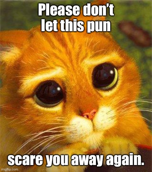 Beggin Puss | Please don’t let this pun scare you away again. | image tagged in beggin puss | made w/ Imgflip meme maker